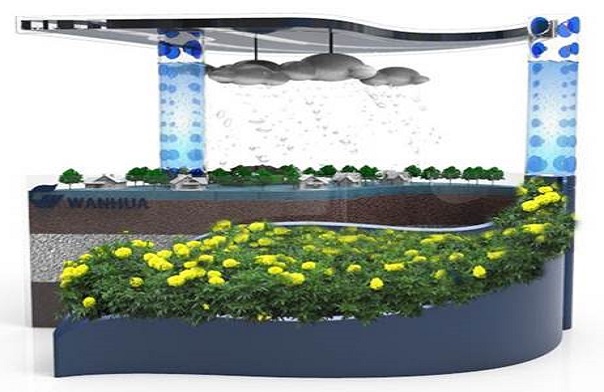 ����� | �ٷ���վ