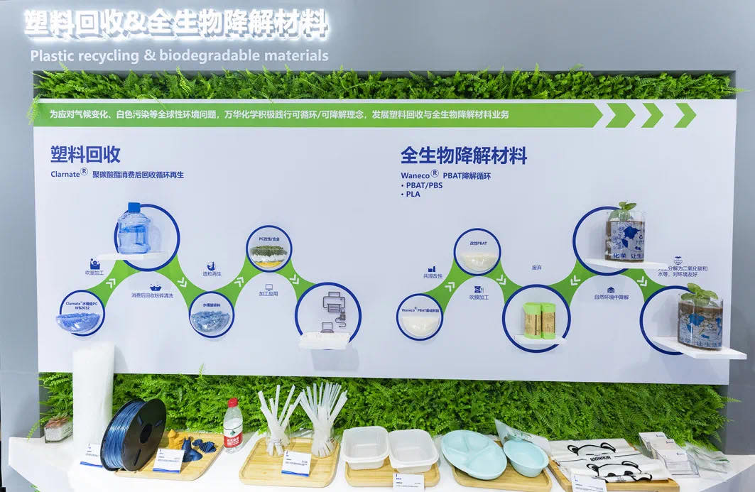 ����� | �ٷ���վ