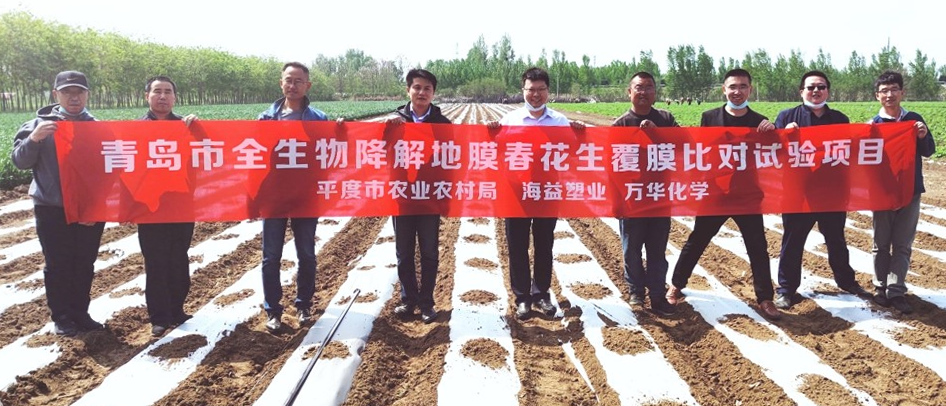 ����� | �ٷ���վ